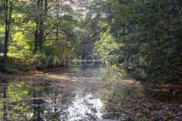 Der weitere Verlauf der Wandse - Fotos-Schmiede