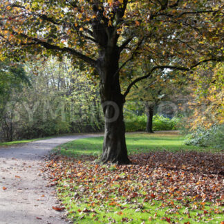 Schöne Herbststimmung - Fotos-Schmiede