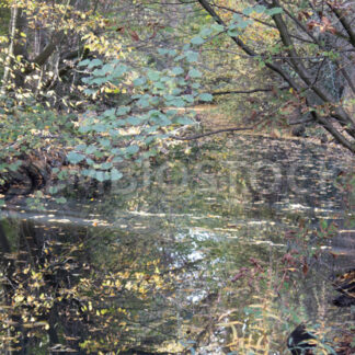 Wandse im Eichtalpark im Herbst - Fotos-Schmiede