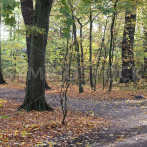 Beginn des südlichen Weges - Fotos-Schmiede