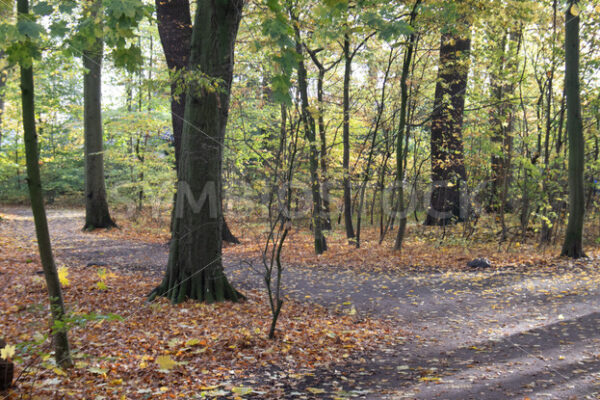 Beginn des südlichen Weges - Fotos-Schmiede