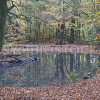 Geringer Wasserstand - Fotos-Schmiede