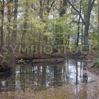 Weiterer Wasserverlauf - Fotos-Schmiede