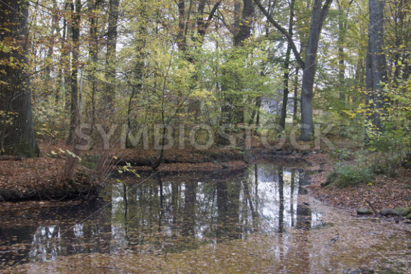 Weiterer Wasserverlauf - Fotos-Schmiede