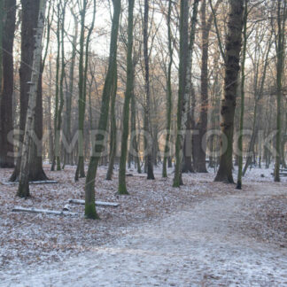 Bei düsteren Lichtverhältnissen - Fotos-Schmiede