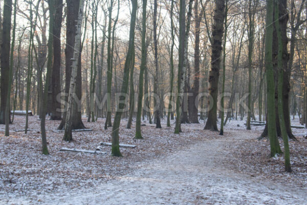 Bei düsteren Lichtverhältnissen - Fotos-Schmiede