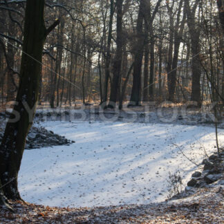 Bei tiefstehender Sonne - Fotos-Schmiede