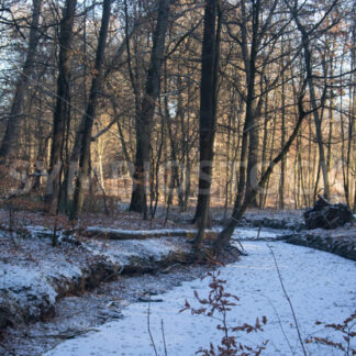 Der weitere Verlauf des Teichs - Fotos-Schmiede