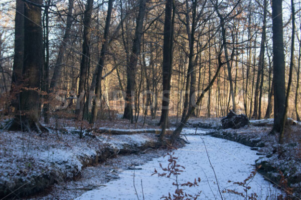 Der weitere Verlauf des Teichs - Fotos-Schmiede