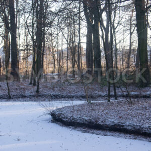 Ein weiterer zugefrorener Teich - Fotos-Schmiede