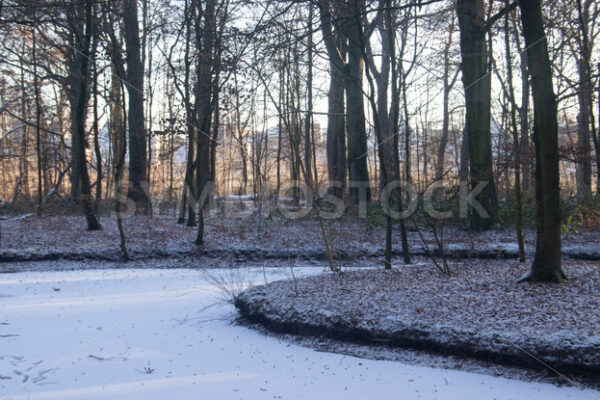 Ein weiterer zugefrorener Teich - Fotos-Schmiede