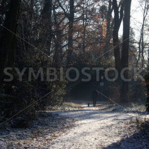 Fussgänger mit Hund unterwegs - Fotos-Schmiede