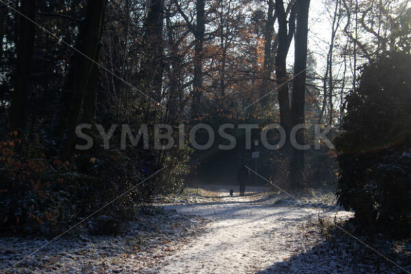 Fussgänger mit Hund unterwegs - Fotos-Schmiede