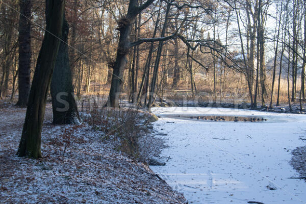 Mit einem Rest offenem Wasser für die Enten - Fotos-Schmiede